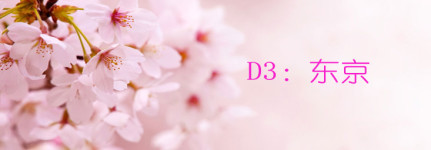 D3:东京 D3:东京