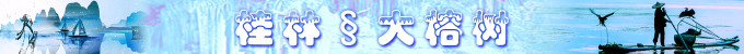 桂林:大榕树 桂林:大榕树