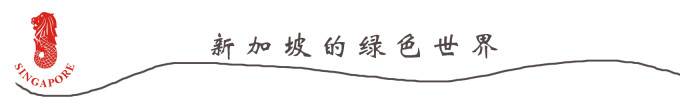 新加坡的绿色世界 新加坡的绿色世界