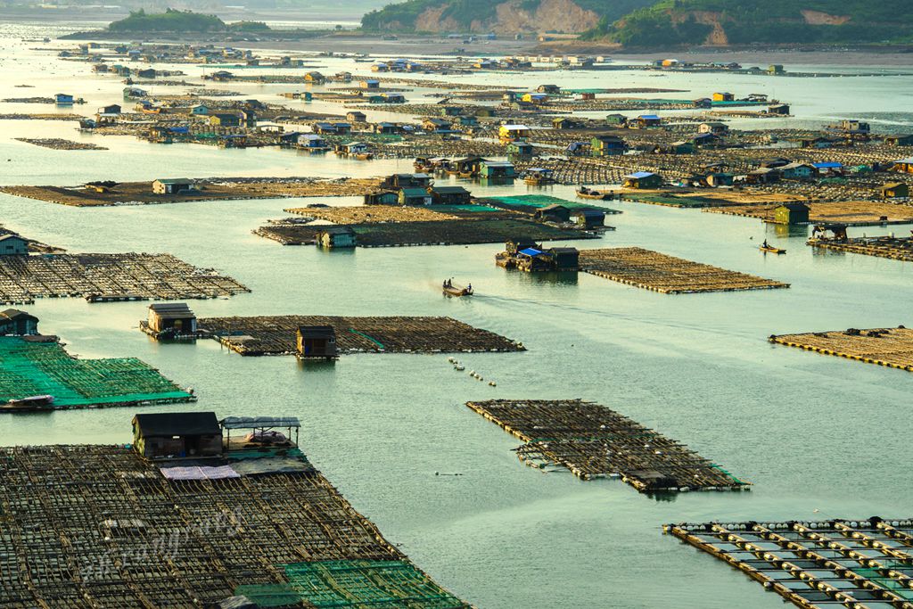 霞浦人口_碧利斯可能13时许登陆福建 对温州影响明显(2)