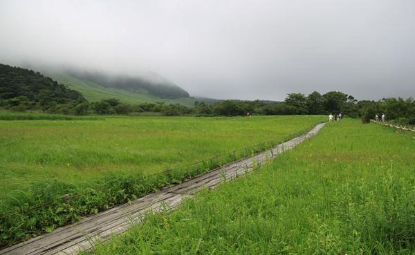 箱根自助遊攻略