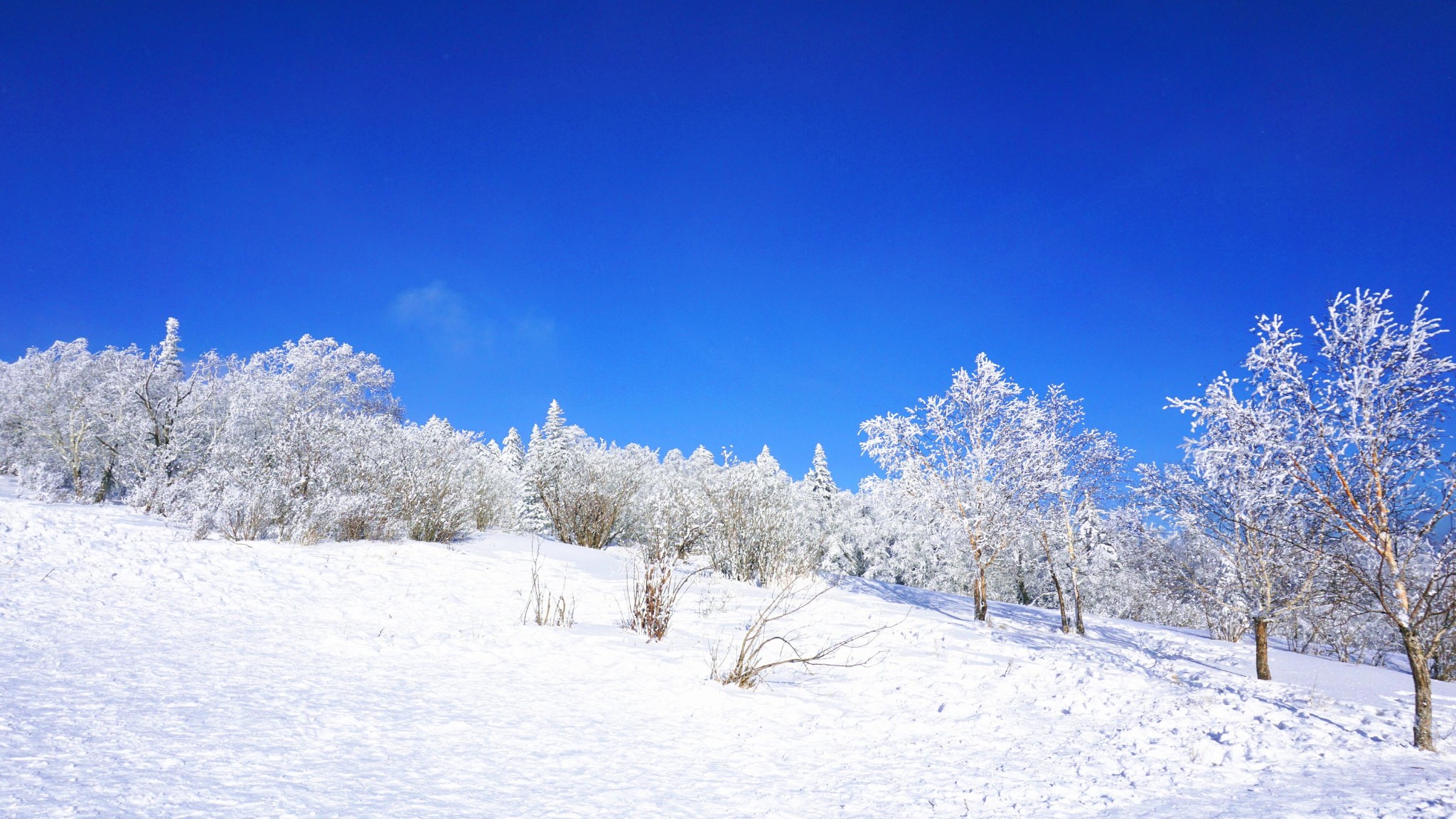 雪鄉自助遊攻略