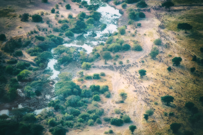 馬賽馬拉國家保護區自助遊攻略