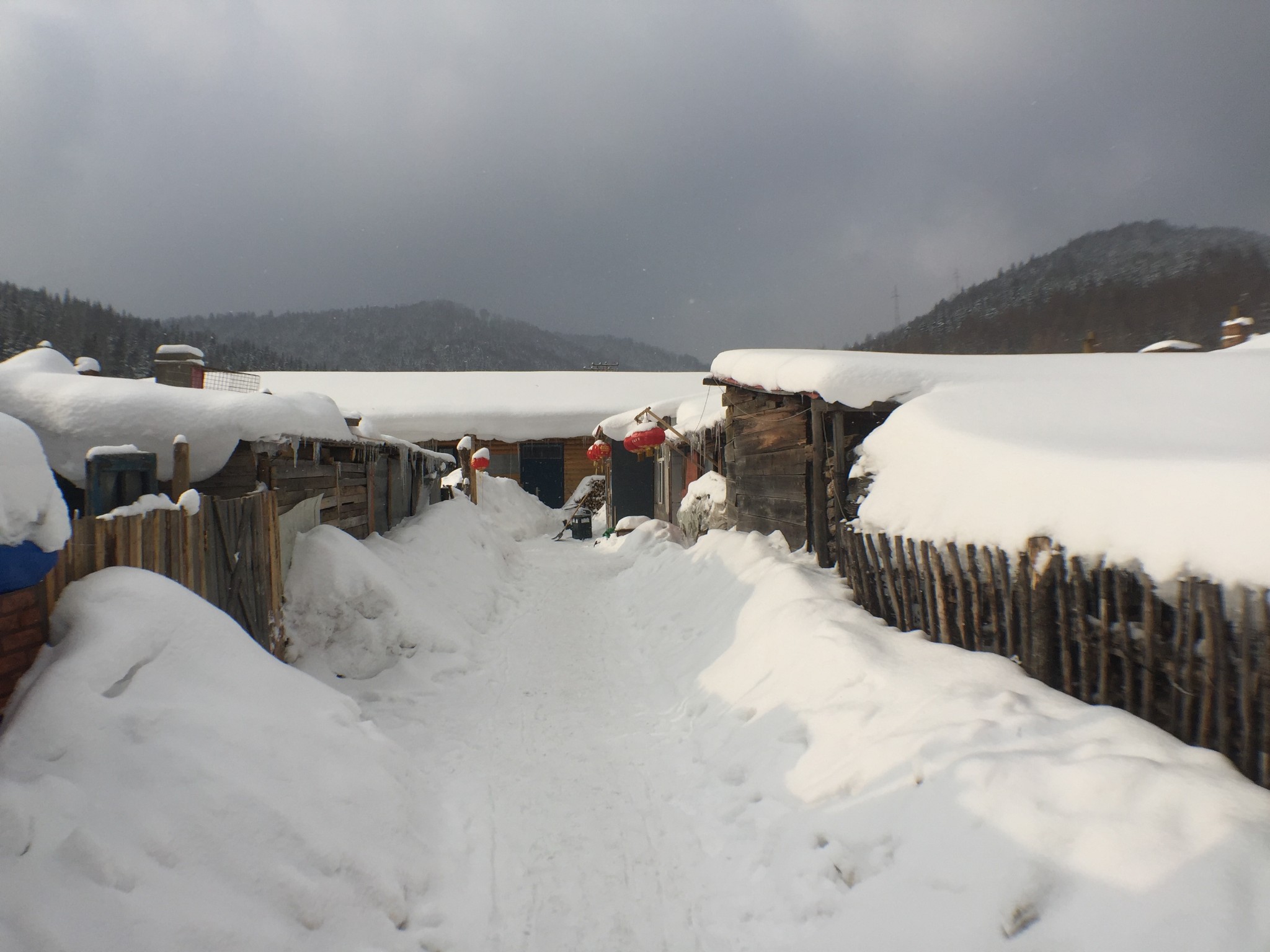 雪鄉自助遊攻略