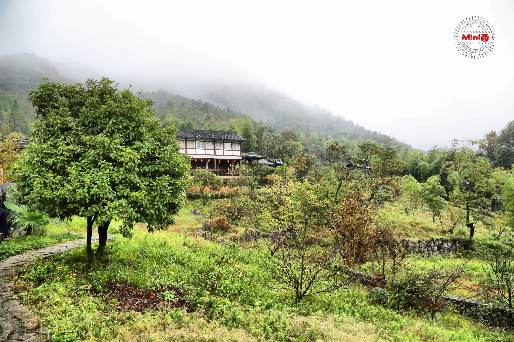 千島湖自助遊攻略