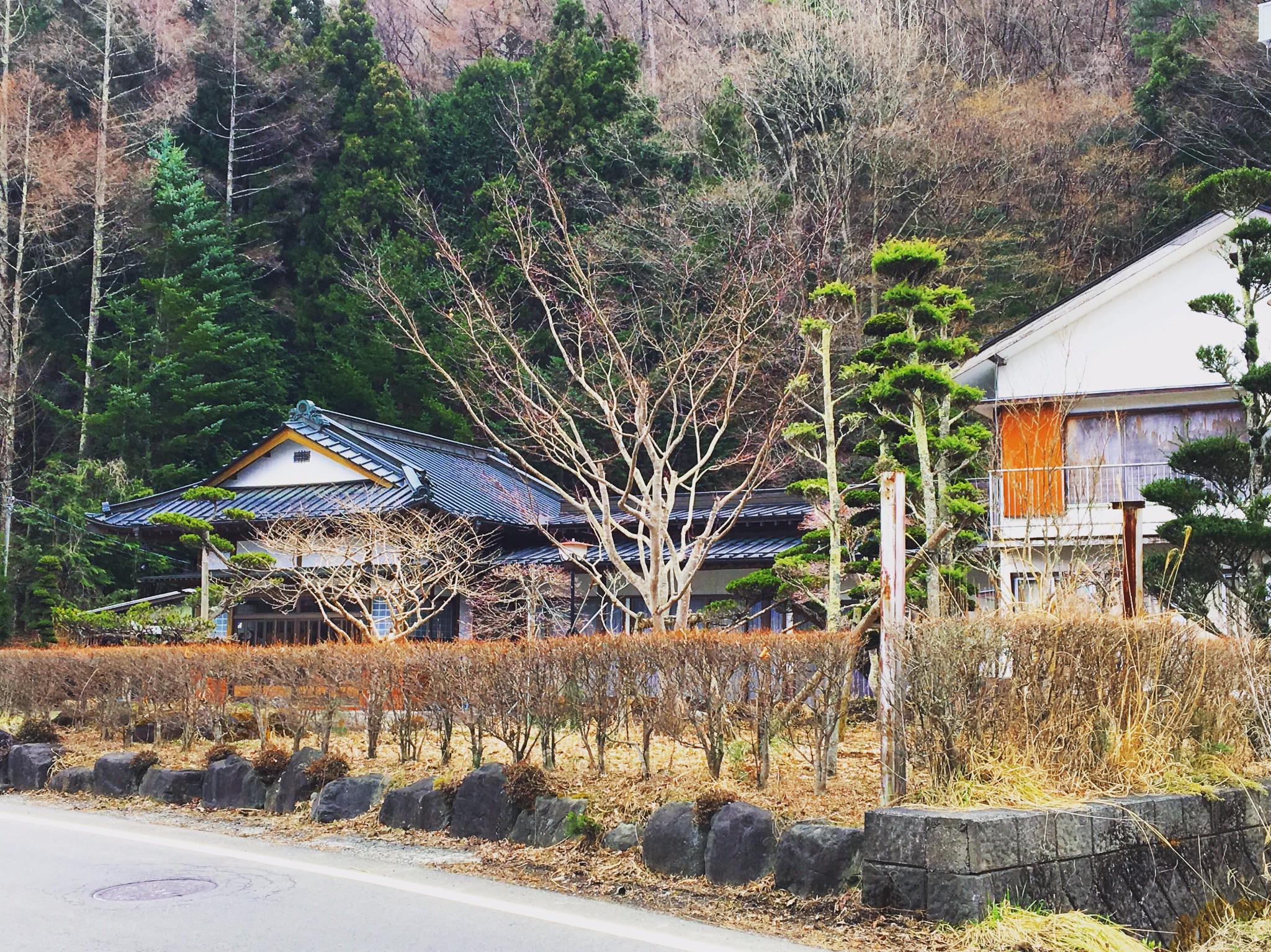 東京自助遊攻略