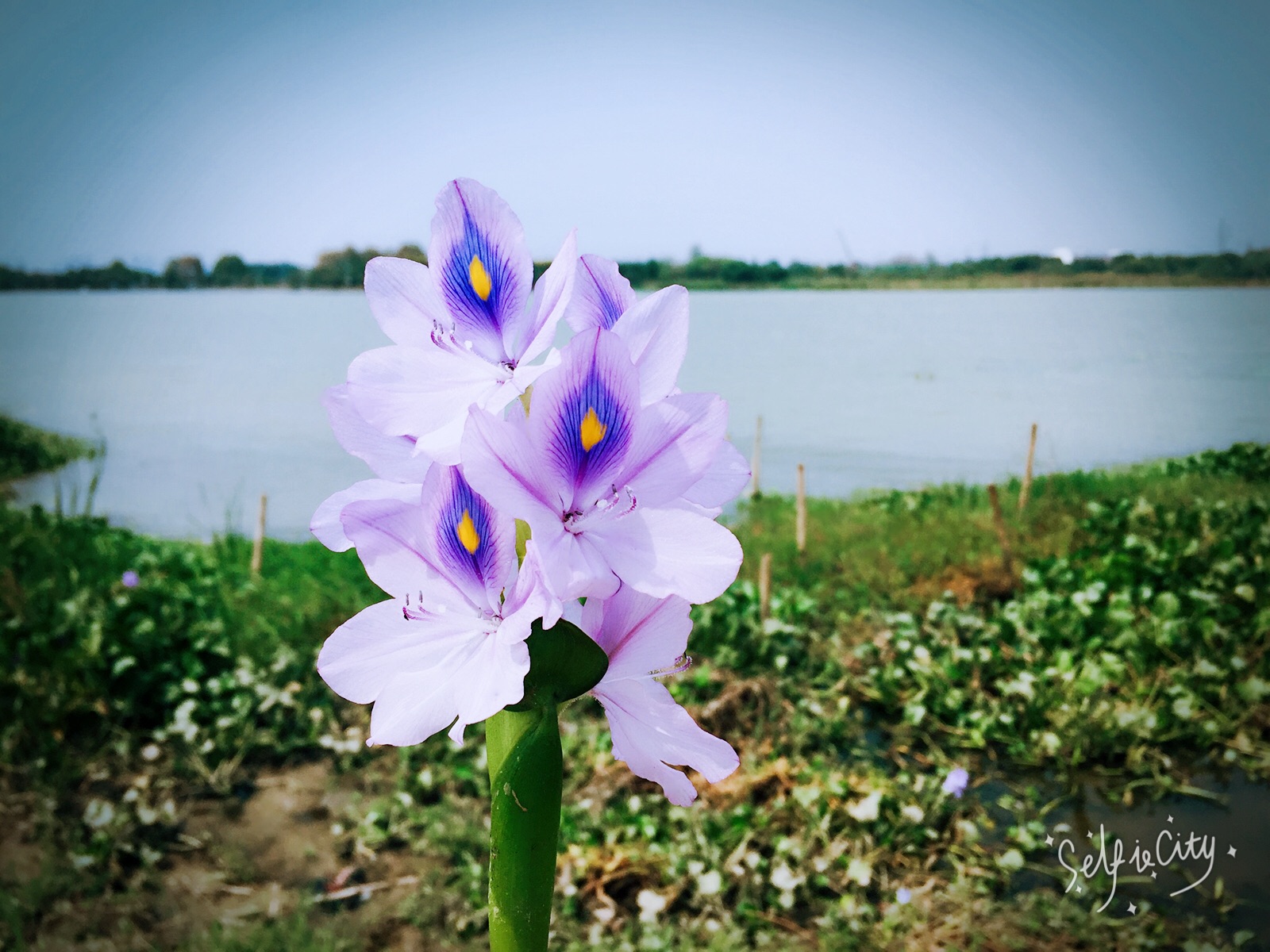 回复游记:万国公园,遗失的角落